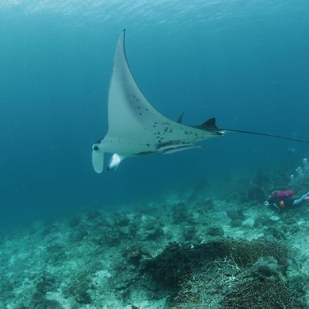 Coriana Dive Resort Waisai Εξωτερικό φωτογραφία