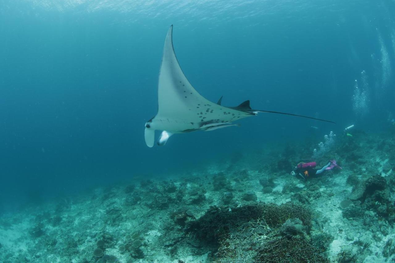 Coriana Dive Resort Waisai Εξωτερικό φωτογραφία