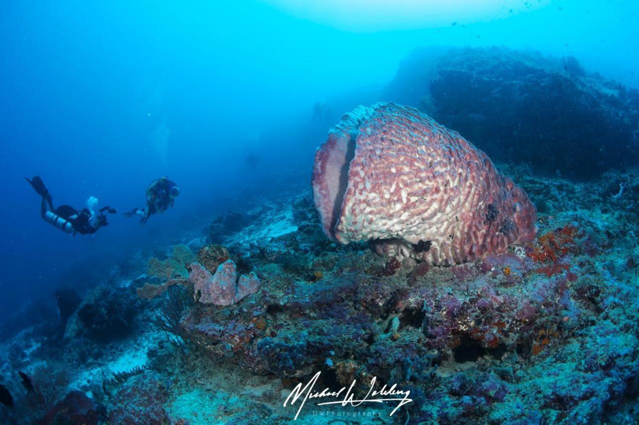 Coriana Dive Resort Waisai Εξωτερικό φωτογραφία